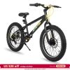 US 20 Inch Mountain Bike for Boy Girl Ages 7-16 Year Old, 3 Inch Wide Knobby Tire, 7 Speed Shimano, Disc Brakes, Fat Tire