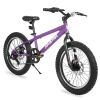 US 20 Inch Mountain Bike for Boy Girl Ages 7-16 Year Old, 3 Inch Wide Knobby Tire, 7 Speed Shimano, Disc Brakes, Fat Tire